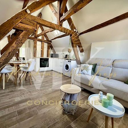 Le Cosy - Hyper Centre Ville 桑斯 外观 照片