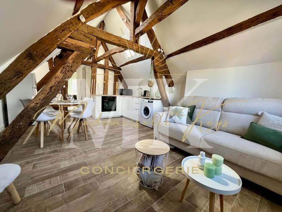Le Cosy - Hyper Centre Ville 桑斯 外观 照片